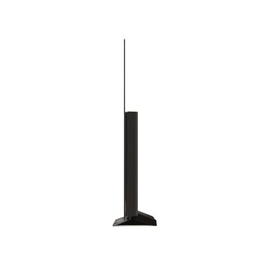 LG 48-in evo C4 Series OLED TV 4K - OLED48C4PUA (2024)