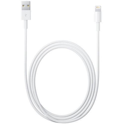 Apple Lightning to USB Cable (1 m)
