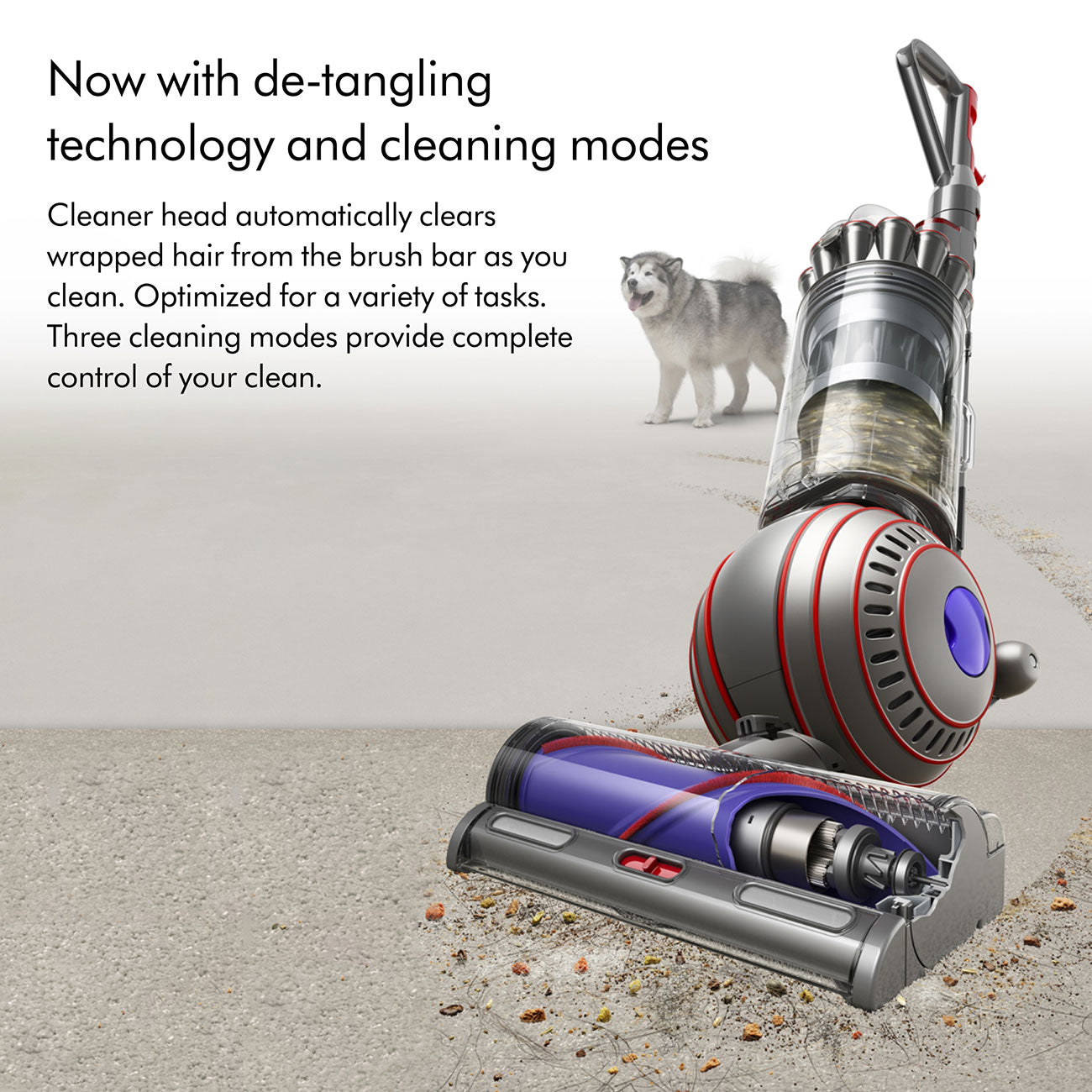 Dyson Ball Animal 3 Upright Vacuum Cleaner - 405866-01