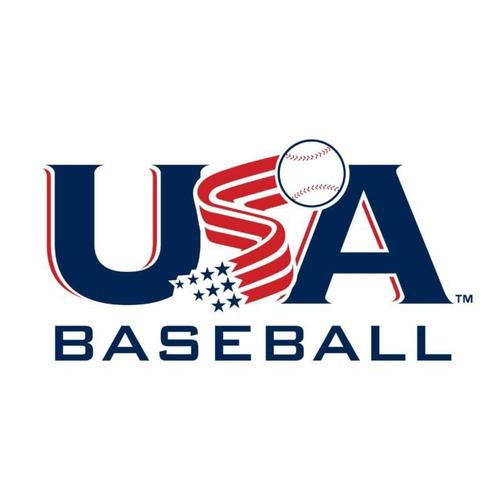 2018 Rawlings 5150 Alloy 2-5/8 Big Barrel USA (-11) Baseball Bat, 31/20 oz.