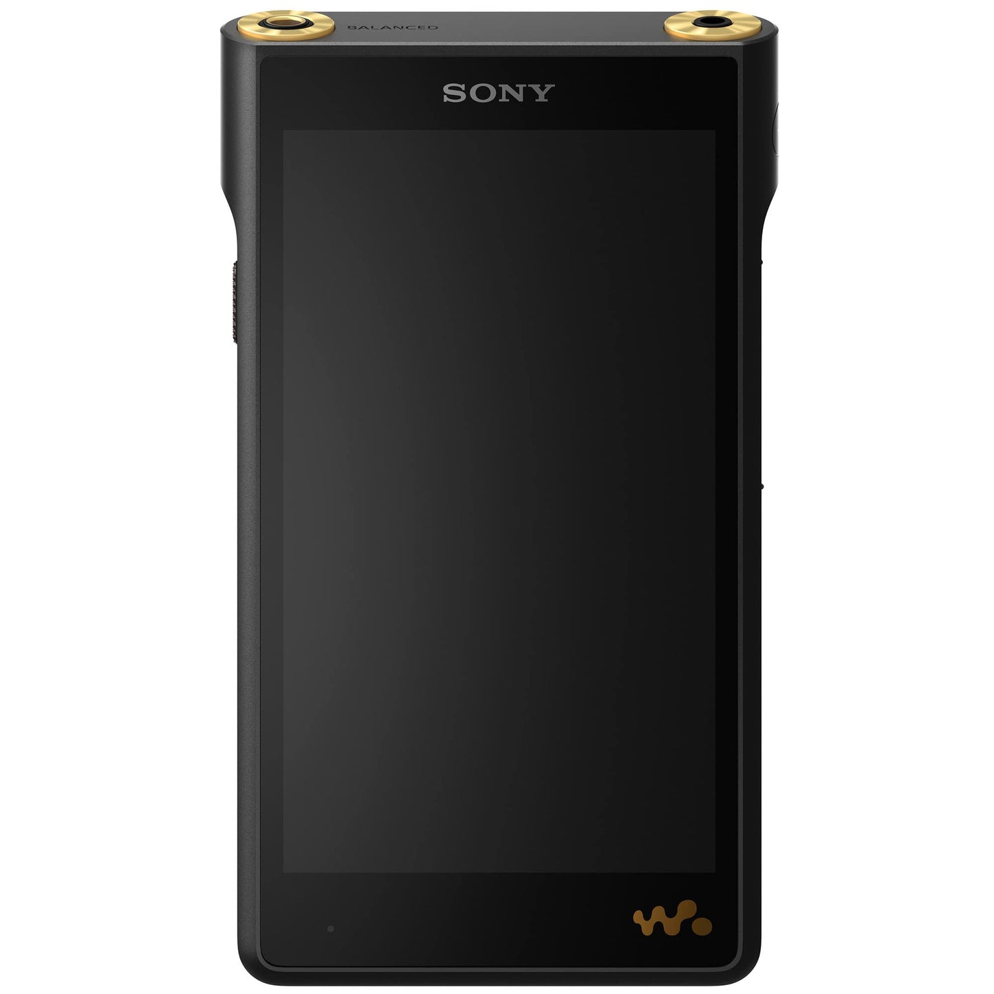 Sony NW-WM1AM2 Hi-Res 128GB Walkman Digital MP3 Music Player