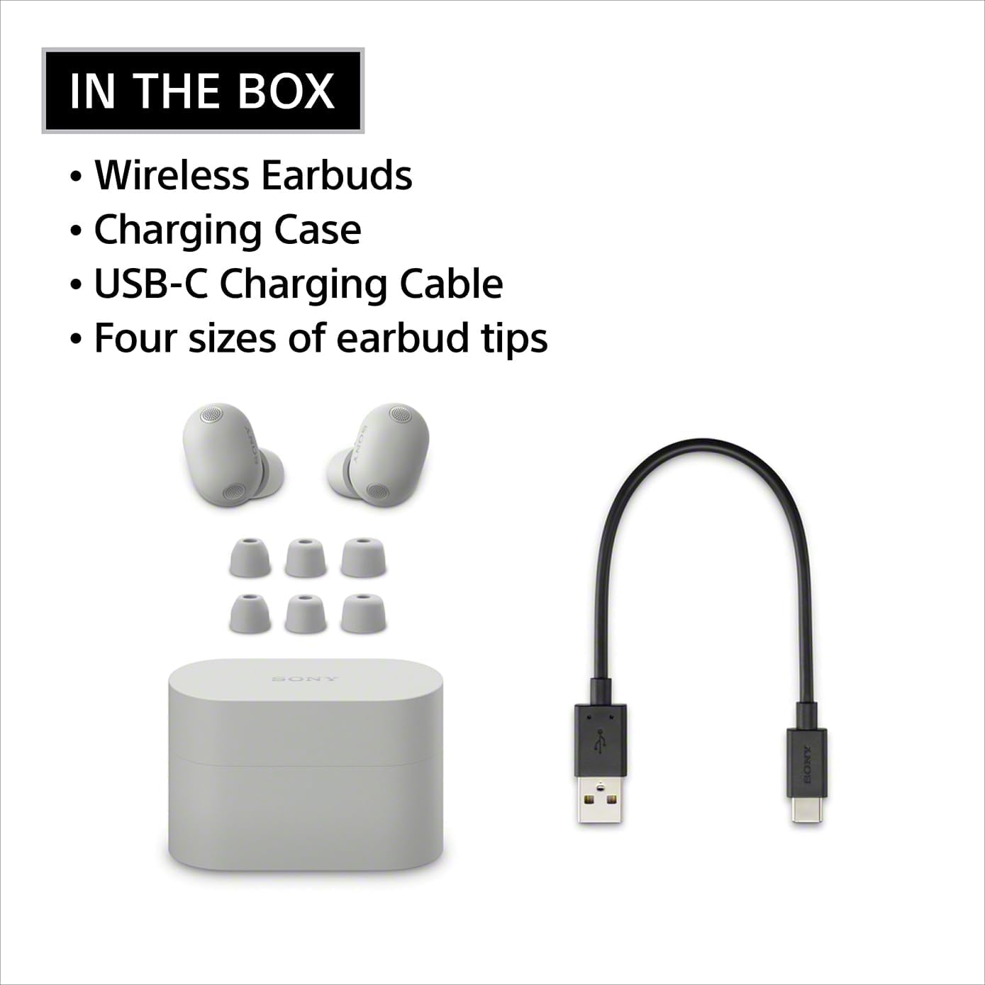 Sony WF-1000XM6 Noise Cancelling Bluetooth Earbuds Headphones - Silver (2026) w 27-Month Axiom Device Care Program