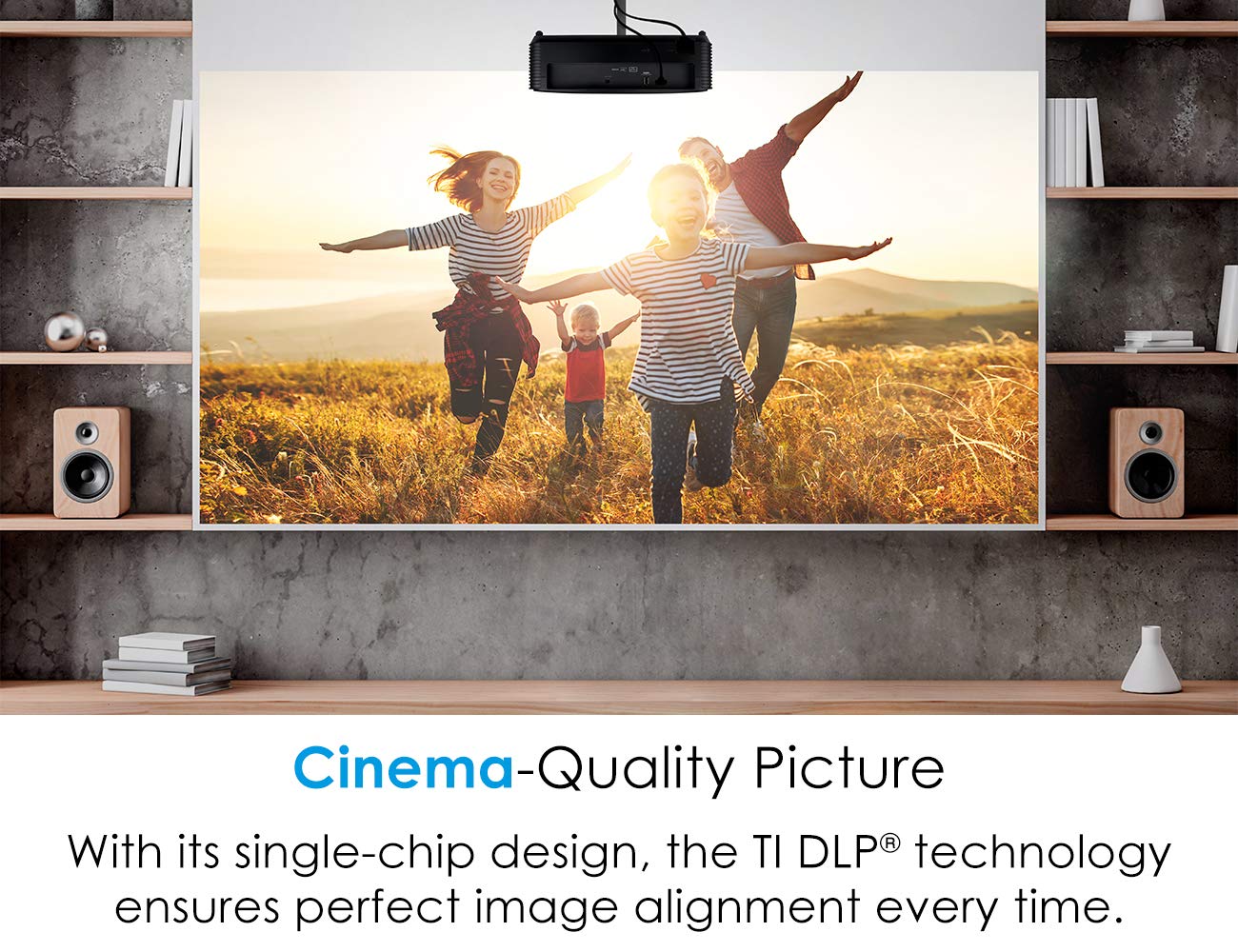 Optoma HD146X High Performance Projector for Movies & Gaming, 3600 Lumens, 16ms Response