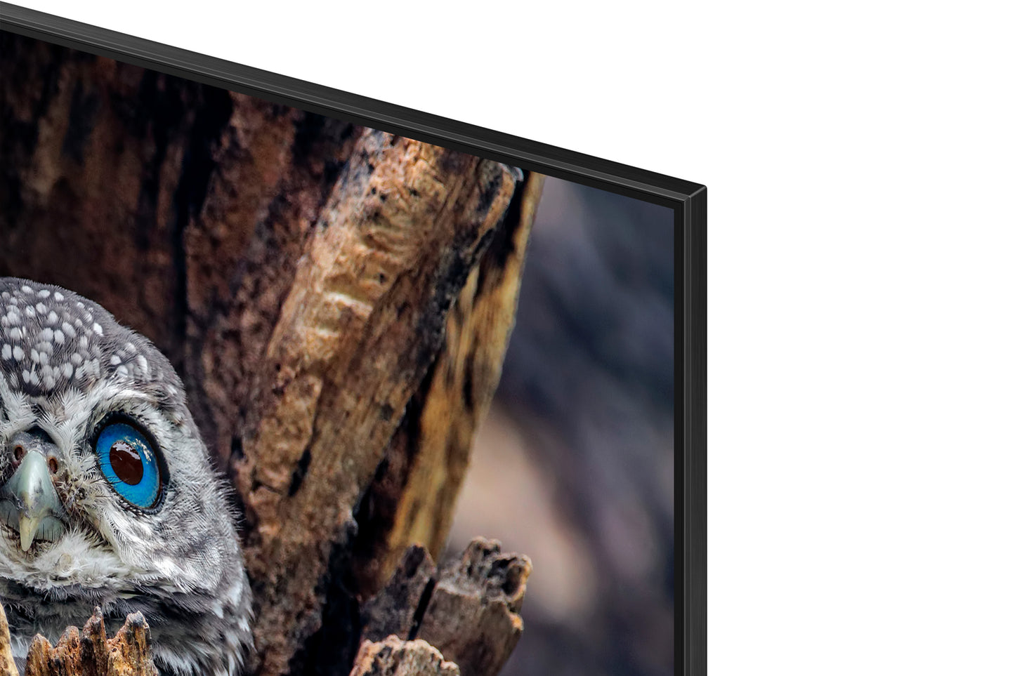 Samsung 65-in Q80D QLED 4K Smart TV - QN65Q80DAFXZA (2024)