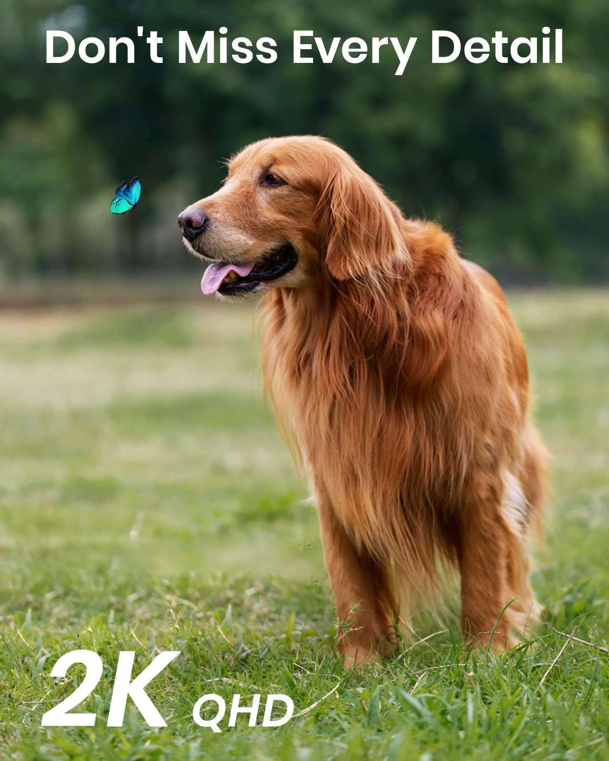 AOSU 2K Security Cameras Outdoor/Home, 360°Pan-Tilt View Timed Cruise 2.4G WiFi Security Camera with Motion Tracking, Spotlight & Siren, 2-Way Audio, Full Color Night Vision, Waterproof