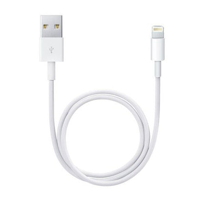 Apple Lightning to USB cable (0.5 m)