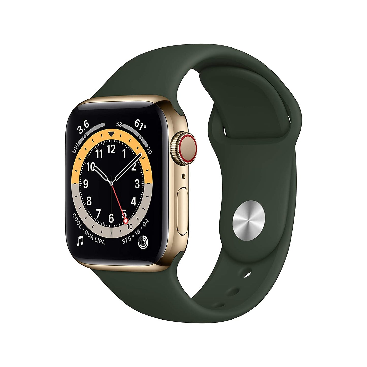 Apple Watch Series 6 GPS + Cellular 40mm Gold Stainless Steel w Cyprus Green Sport Band