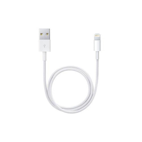 Apple Lightning to USB Cable (0.5 m)