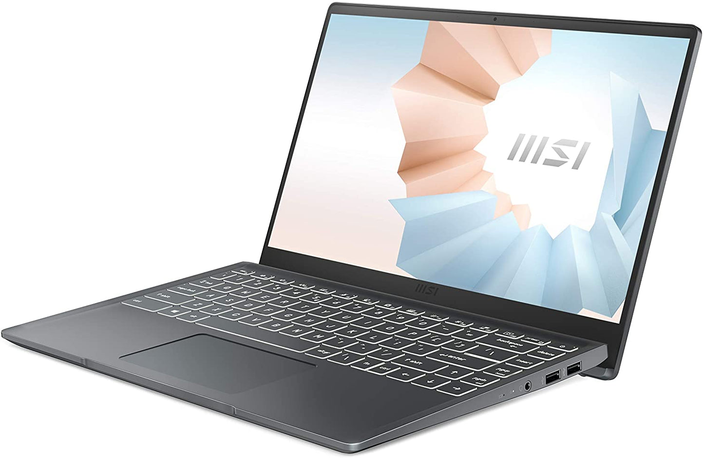 MSI Modern 14 Professional Laptop Computer - 14-in, i5, 8GB RAM, 128GB, Win10Pro, Carbon Gray,Memory Capacity__8 GB