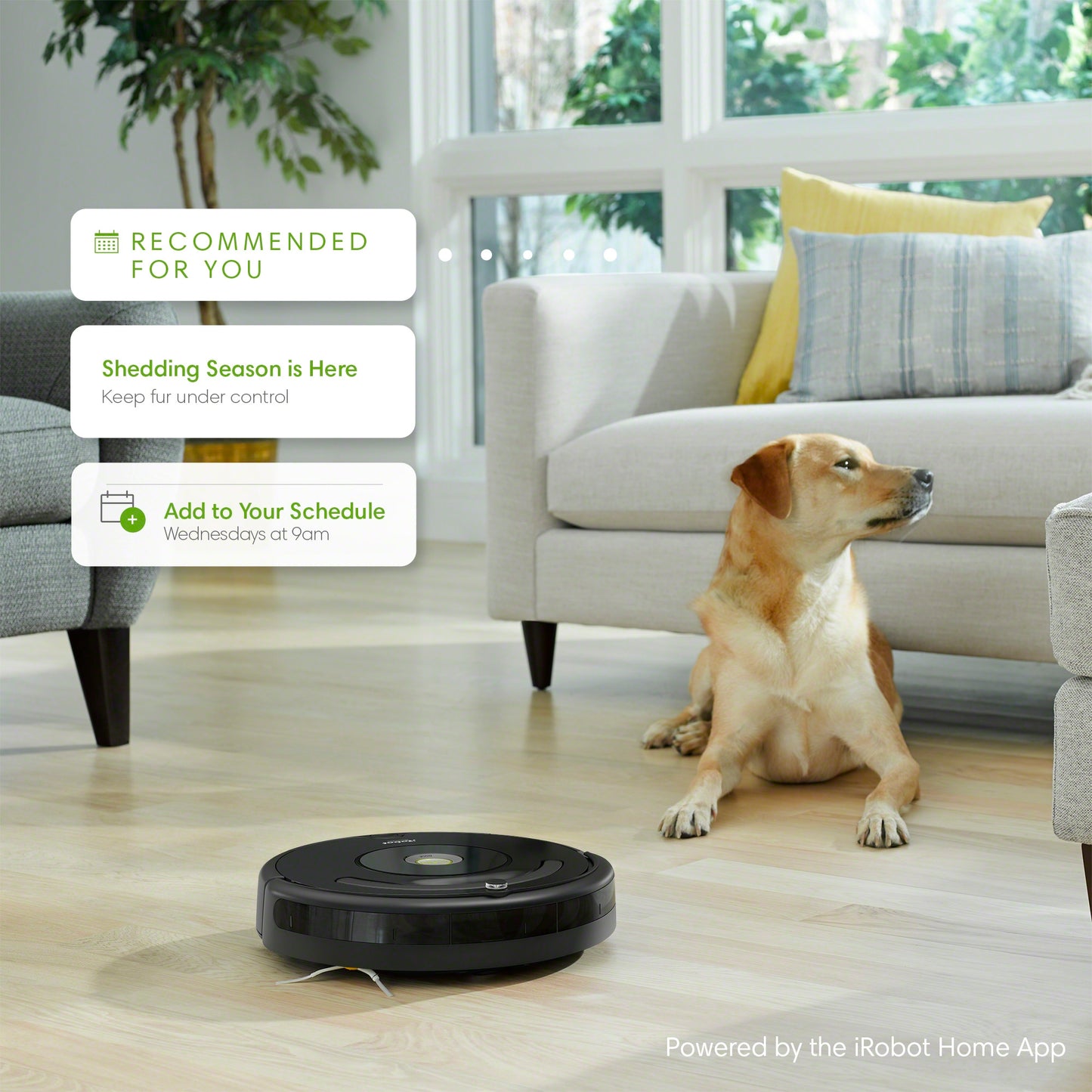 iRobot® Roomba® 675 Wi-Fi® Connected Robot Vacuum