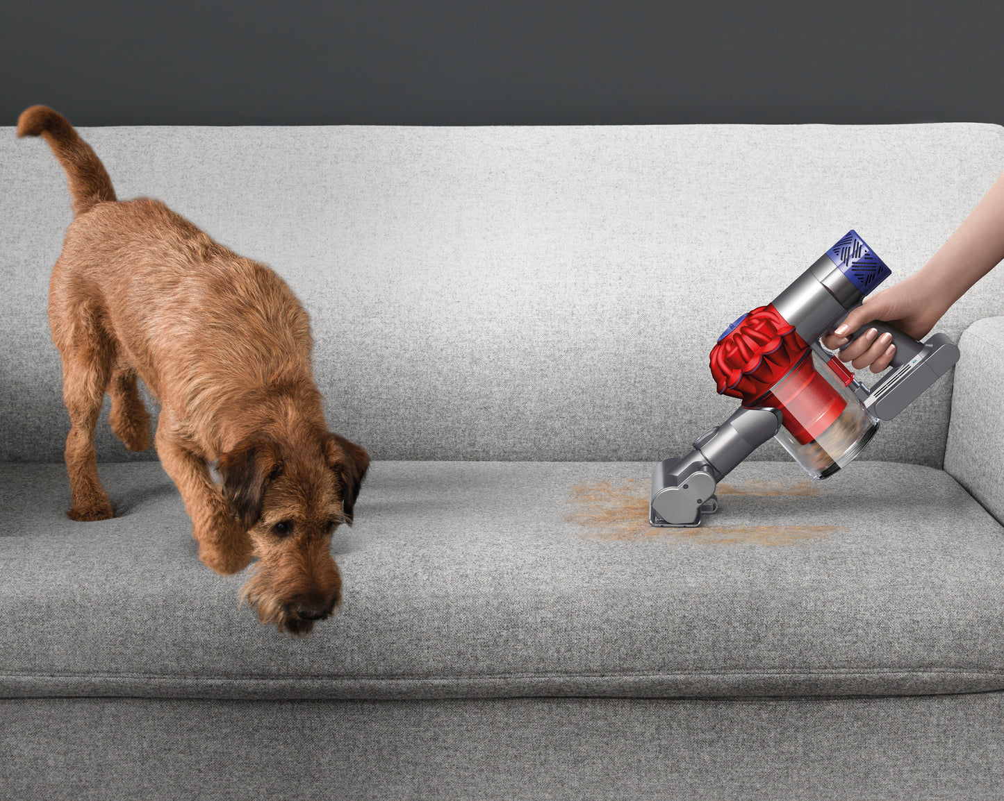 Dyson V6 Top Dog HEPA Handheld Vacuum Cleaner (Red)